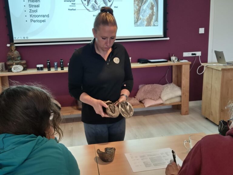 WhatsApp Image 2025-08-30 at 23.16.21 (1)