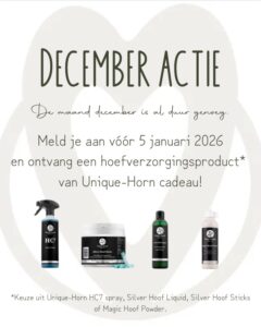 5 Hearts Hoofcare - hoefcursus - bekapper - hoefverzorging - unique-horn - red horse - hoefschoenen