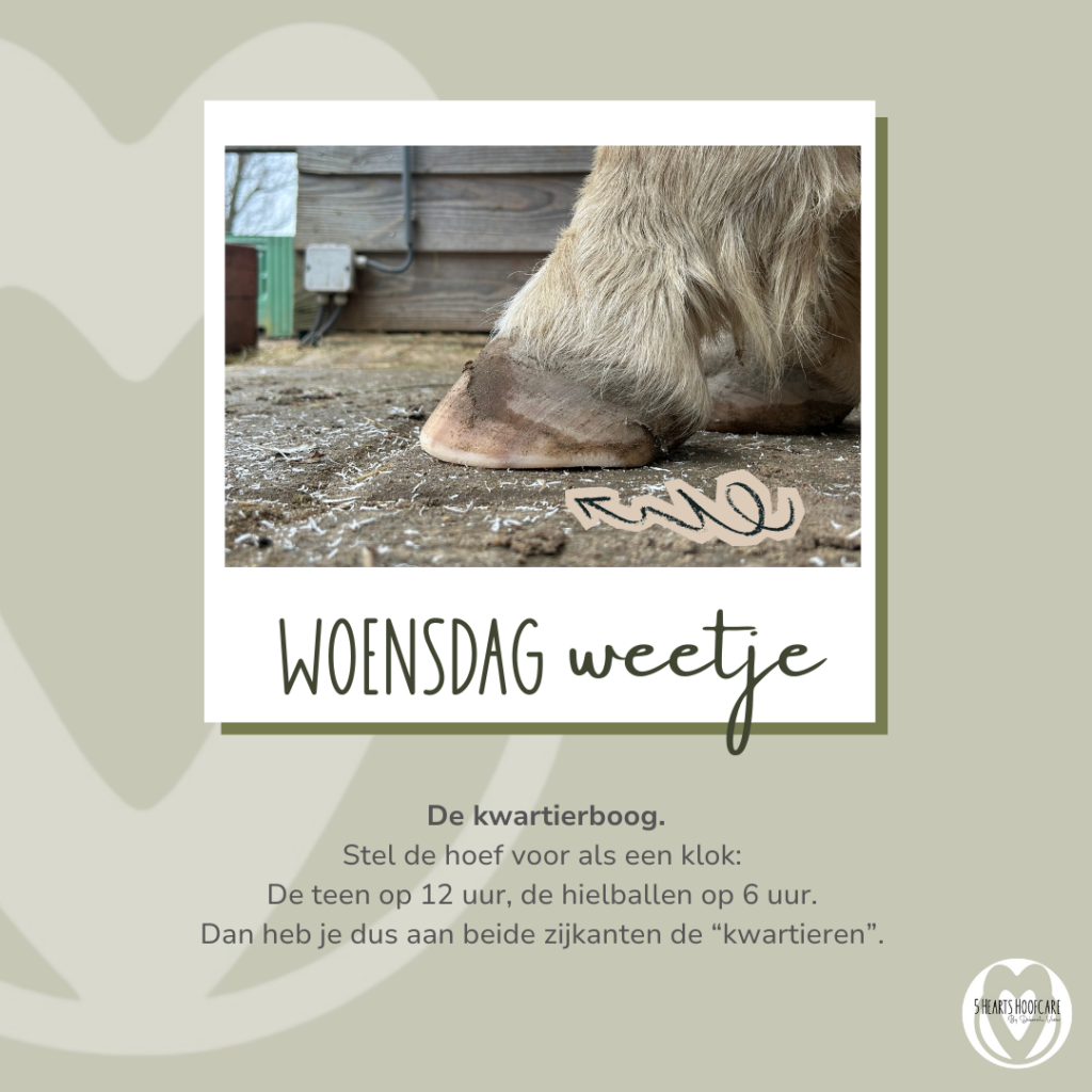 5 hearts hoofcare- woensdag-weetje