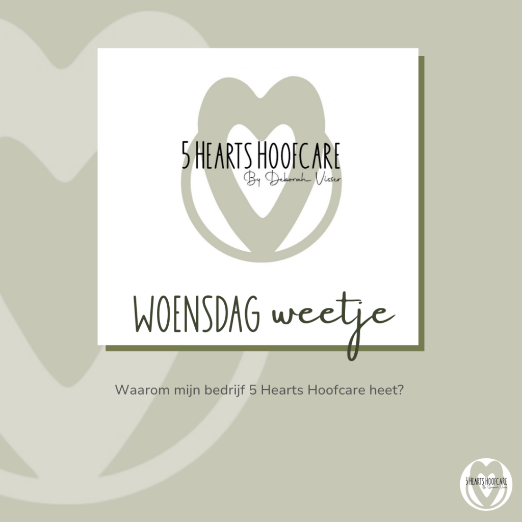 5 Herats Hoofcare - bekapper barefoot