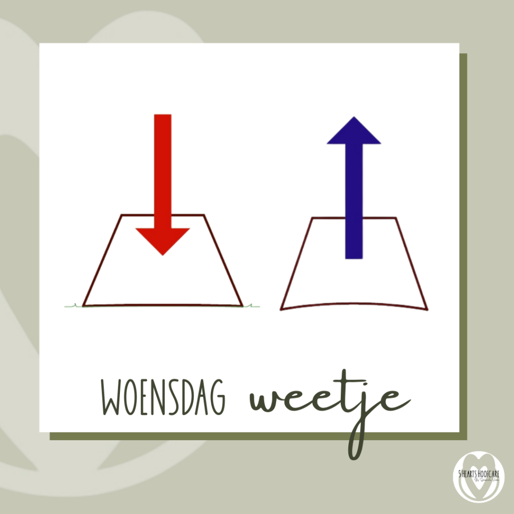 5 Herats Hoofcare - bekapper barefoot